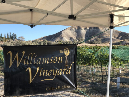 williamson Orchards & Vineyards: Family owned and operated since since 1909. Four generations have worked this land.