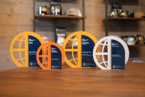 Roswell Inc’s four IEDC wins, proof that economic development in Roswell is shining bright.