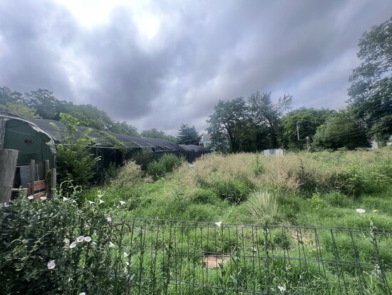 Photo by Chris Goode: Ruby Jean's Garden - before