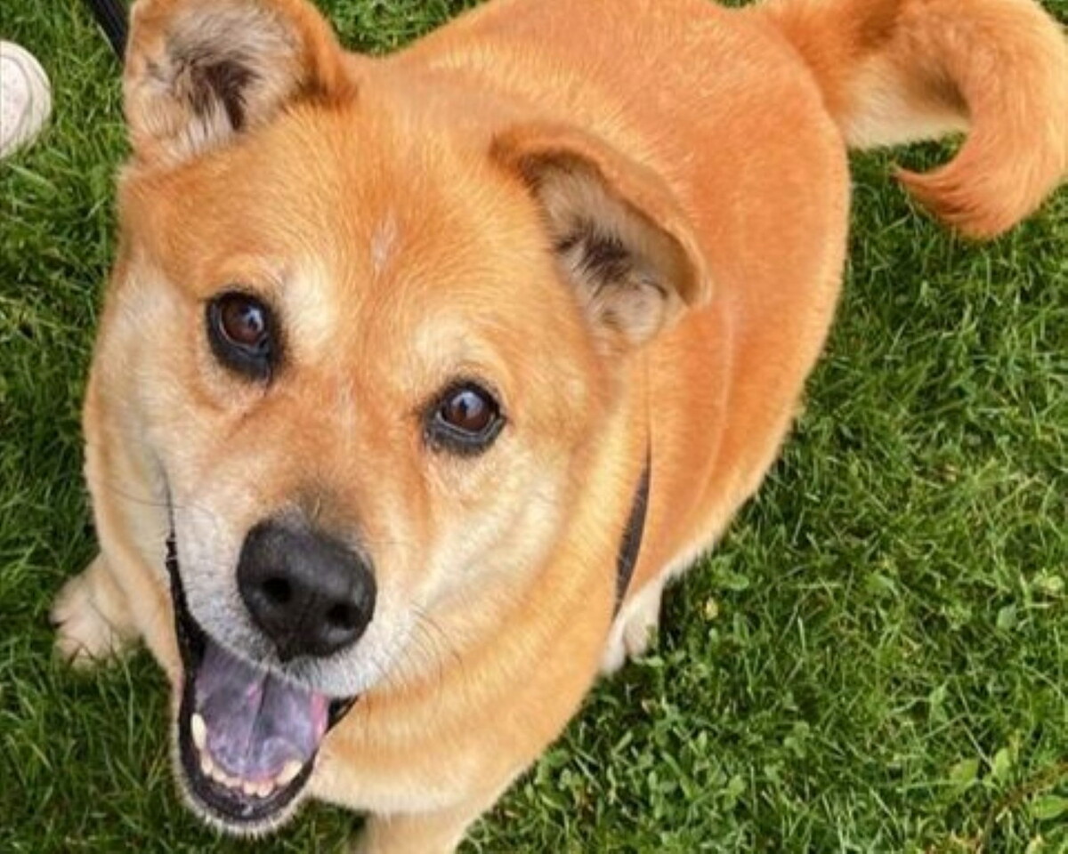 Ruby's Journey: Hope at Weber Shelter