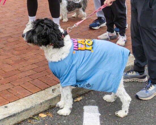 Even pets get into the costuming act during the Indian Lake Loop.