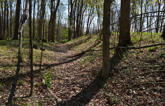 Hopewell Mound Group north wall. 