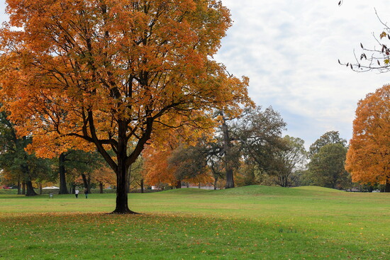 Great Circle in the fall. 