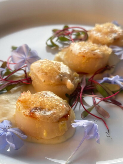 Sea Scallops topped with lemon caviar at Casa Nostra