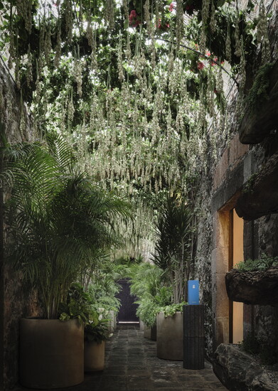 Casa Dragones (credit: Douglas Friedman)