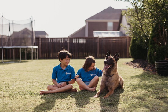 Doo Doo Blues specializes in pet waste removal but also offers deck cleaning, kitty litter service and a yard deodorizer. 