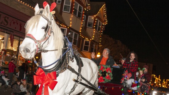 Parade Participants Enjoy Horse-Drawn Carriage Ride 