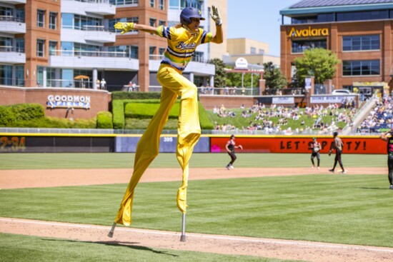 You never know what you might see at a Savannah Bananas game. 