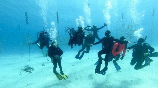 ADFC Members celebrate a great dive visiting the Coral Forest off of Klein Bonaire.