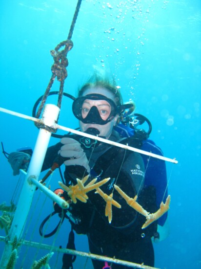 Elysa cleaning a Staghorn Coral Tree at Buddy Dive Resort in Bonaire