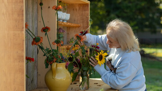 Photo courtesy Dairy Boy.