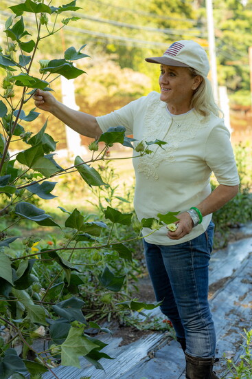 Photo courtesy Dairy Boy.