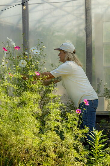 Photo courtesy Dairy Boy.