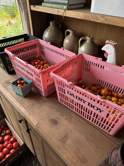 Photo courtesy Dairy Boy.