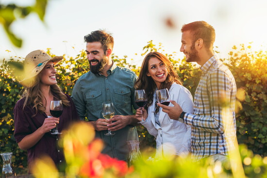 Exploring the vineyard, one pour at a time.