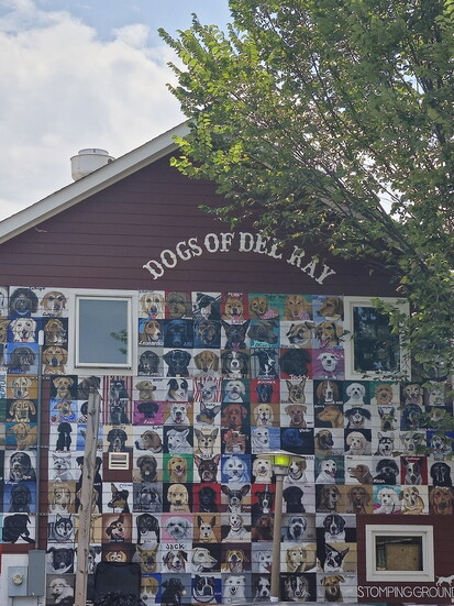 Dog mural in Del Ray. Photo Credit: Trevor Joppich