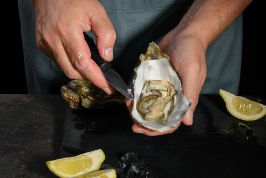 Oyster being shucked.