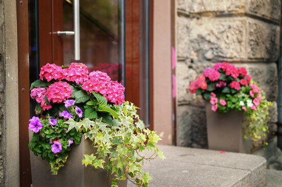 Flowers make exteriors inviting. 