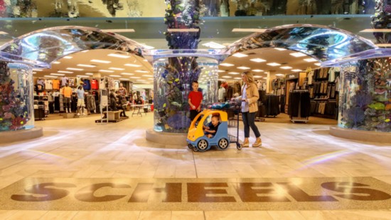 Eden Prairie Scheels