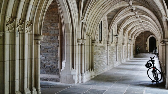 College admissions success