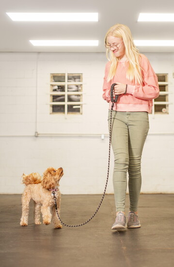 Holly Hildreth Photography
