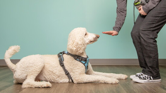 Holly Hildreth Photography