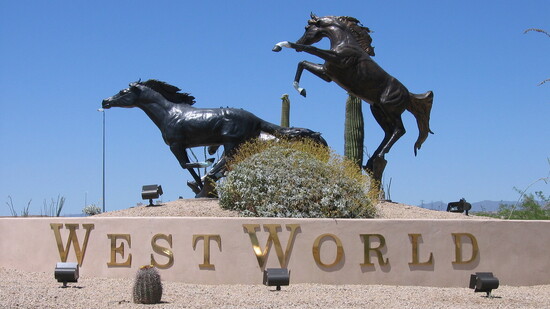 The Scottsdale Arabian Horse Show has been held at WestWorld of Scottsdale every February since 1989. Photo by Joan Fudala