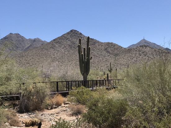 Voters passed a modest sales tax increase in 1995 to fund land purchases for the McDowell Sonoran Preserve, now a signature landmark. Photo by Joan Fudala