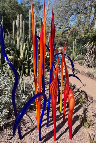 Flat walking trails abound at the Desert Botanical Garden.