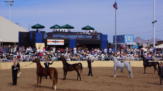 WestWorld Arabian Horse Show