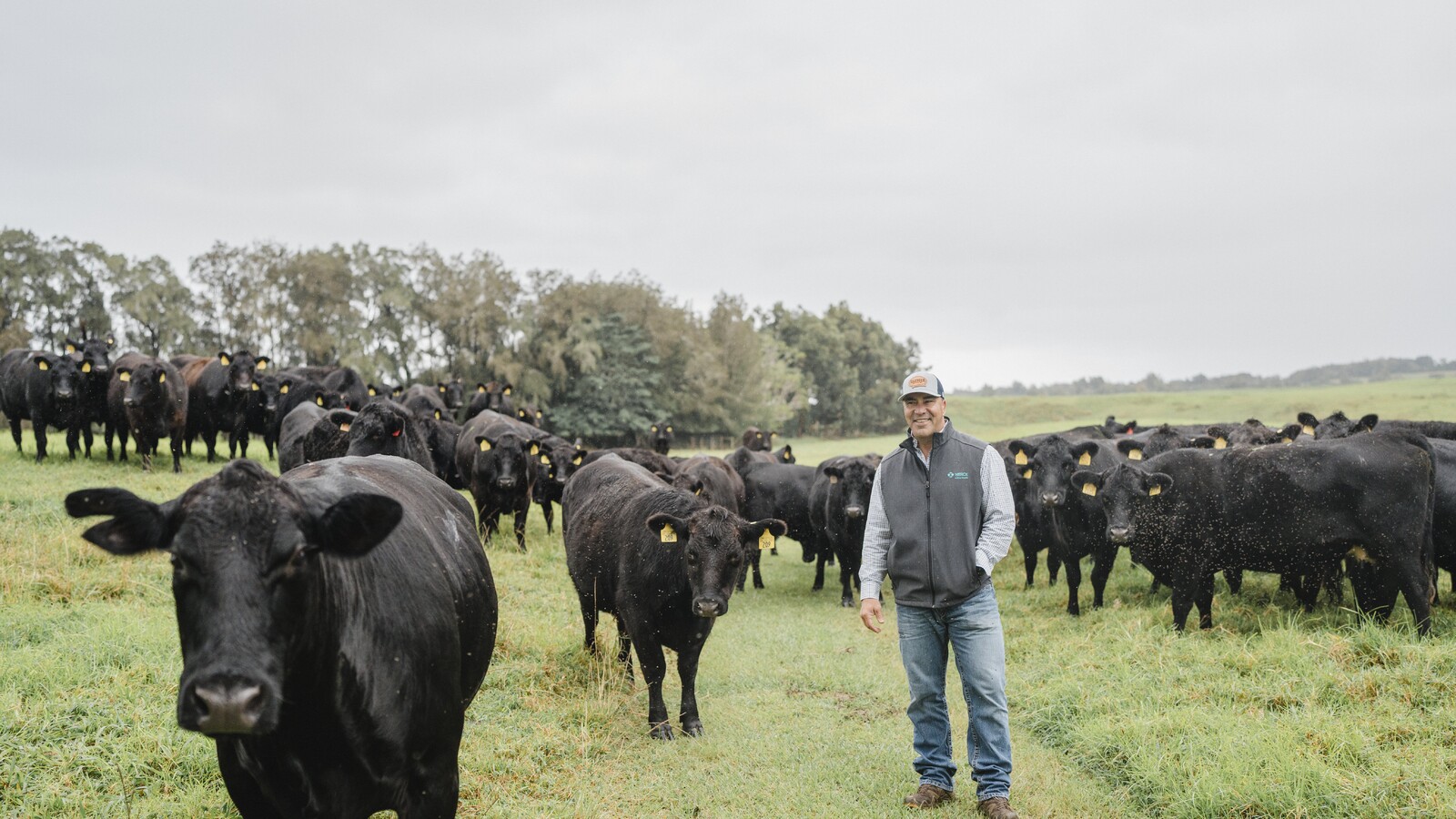 From Policeman To Cattle Rancher