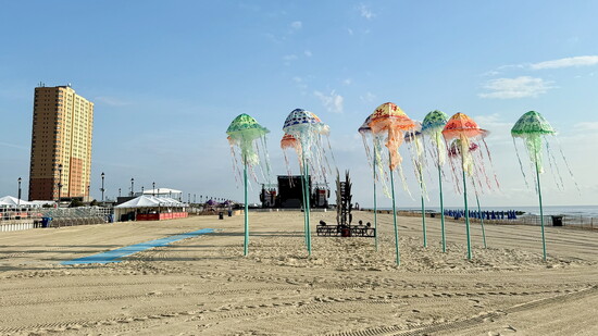 Sea.Hear.Now on the beach