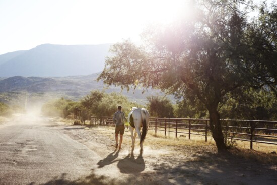 Equestrian activities at Miraval Arizona Resort & Spa