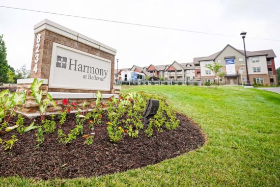 Harmony at Bellevue