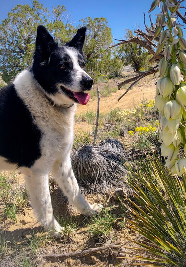 Meka is 17 this year.