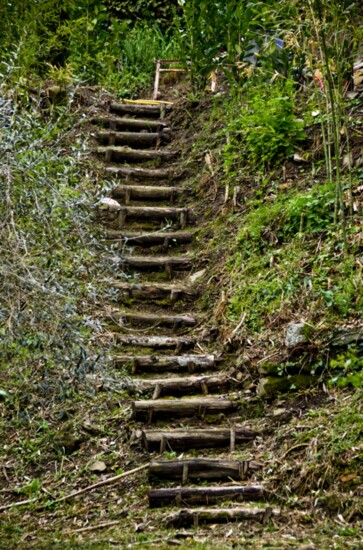 Stairway Leading Up to Villa Bramasole