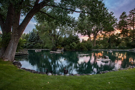 Photo by Michelle Gardner 