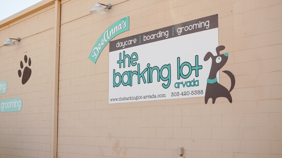 The Barking Lot Arvada: Loved by dogs - and trusted by Pet Parents