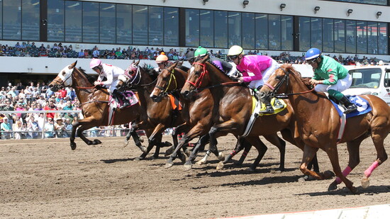 Canterbury Park