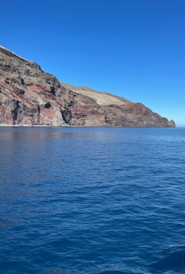 Guadalupe Island