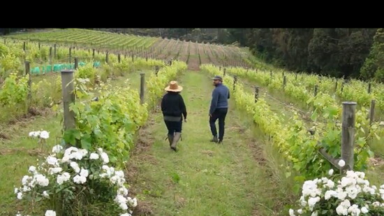 From the vineyard to the barrel room, Avani Wines is a testament to Shashi Singh’s vision—where tradition, science, and a deep respect for the land come togethe