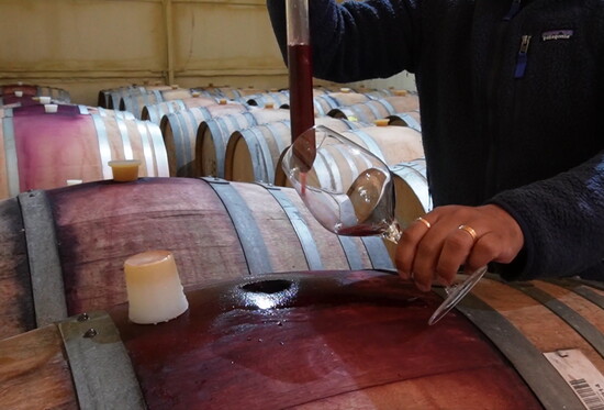From barrel to glass—every drop of Avani’s biodynamic Syrah is a reflection of the land, nurtured with patience and care.