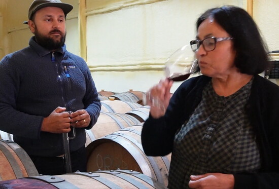 Tasting the future—Shashi Singh carefully evaluates her wines in the barrel room, balancing tradition with her signature minimal-intervention approach.