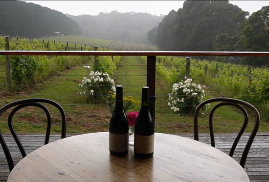 A serene moment at Avani—where wine, nature, and time come together to create something truly special.N