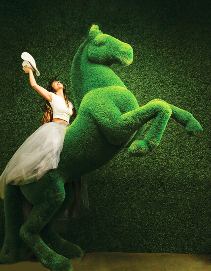 Verdant and victorious-Ruksana Salam shines on her sculpted steed