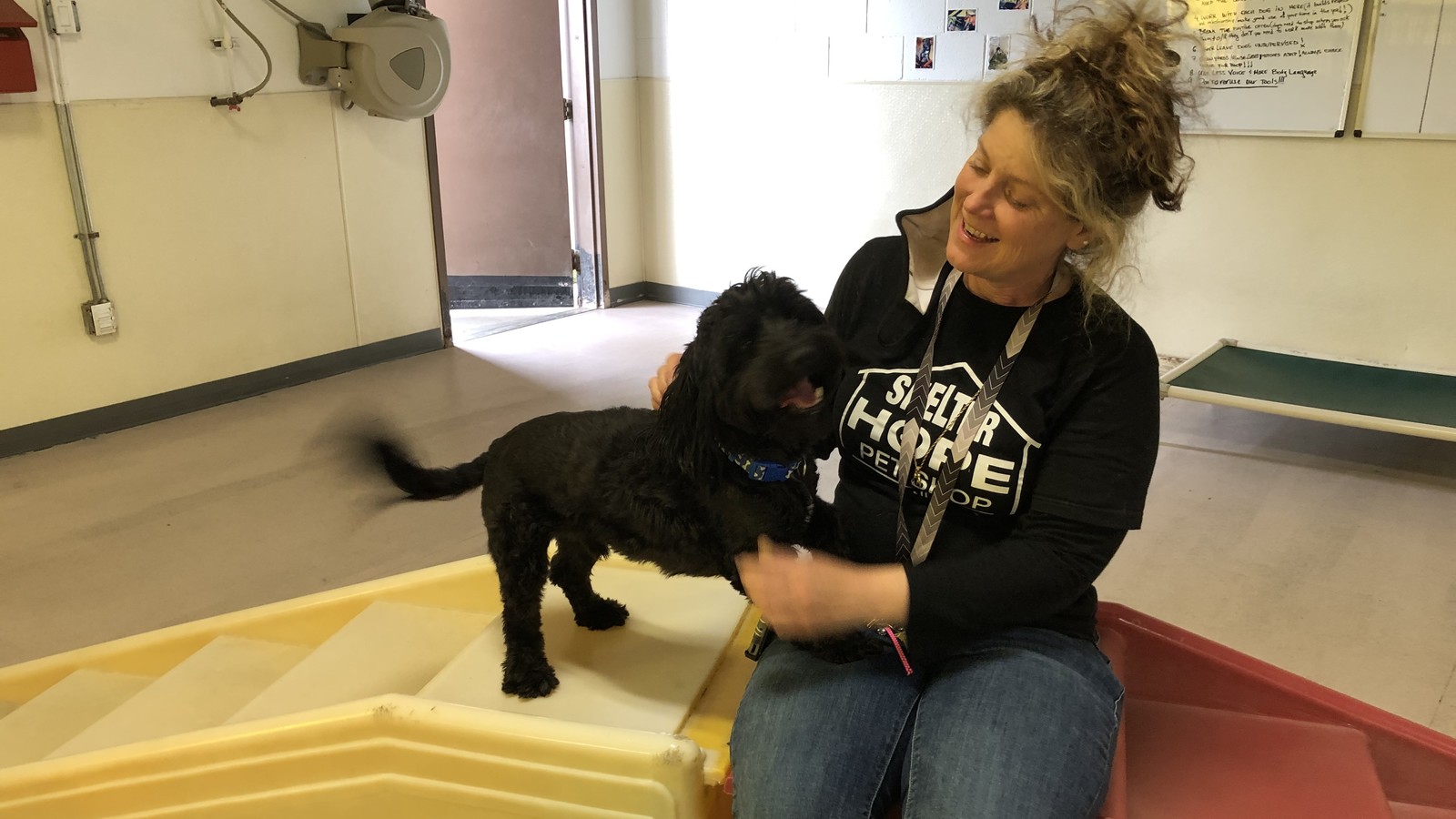 Bark in the Park - Conejo Valley