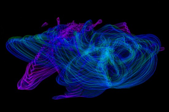 Light painting by Joan Tilton
