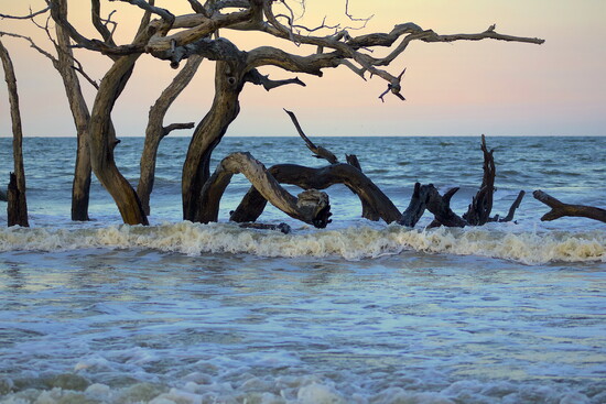 NapsHappenPhotography: Behind the curtain