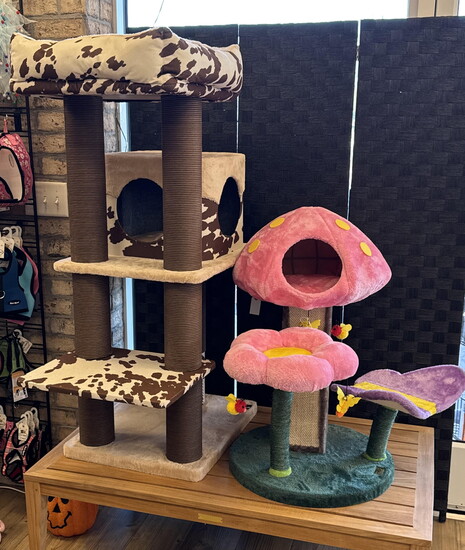 Earthwise Pet Jonesville: Cat Condos at Earthwise Pet Jonesville 