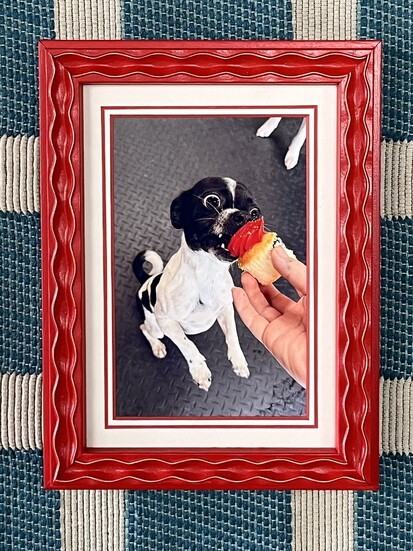 Gainesville Picture Framers: Making Memories Last! 